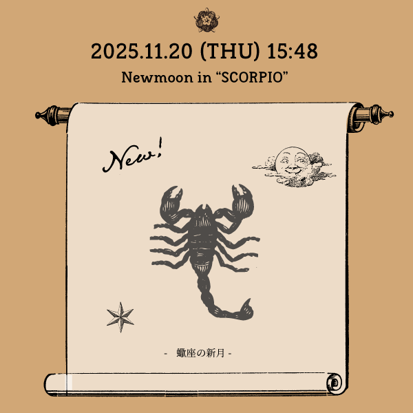 2025年11月 蠍座新月オススメの過ごし方