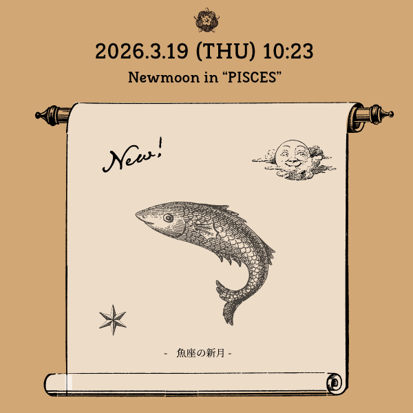 2026年3月 魚座新月オススメの過ごし方